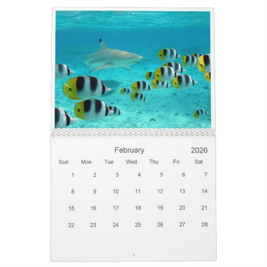 2026 Bora Bora landscape photography Kalender (Feb 2026)