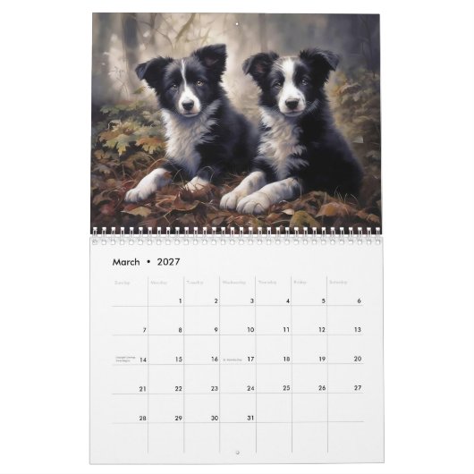 2026 Border Collies Kalender (Mar 2027)