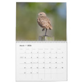 2026 Burrowing Uilen van Florida Kalender (Mar 2026)