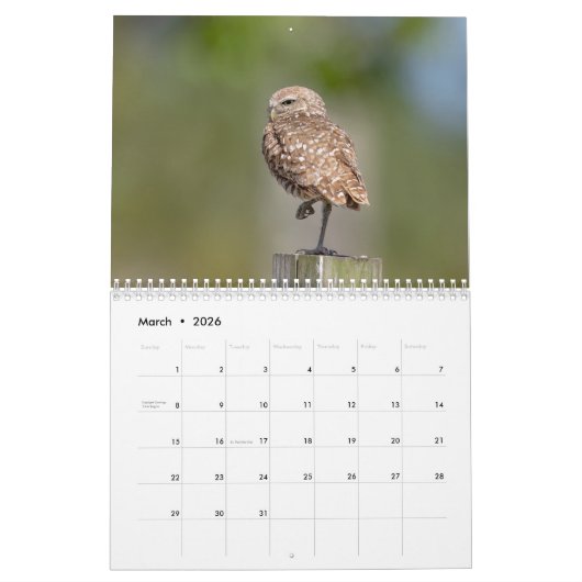 2026 Burrowing Uilen van Florida Kalender (Mar 2026)