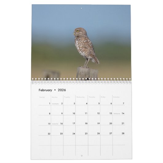 2026 Burrowing Uilen van Florida Kalender (Feb 2026)