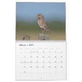 2026 Burrowing Uilen van Florida Kalender (Feb 2027)