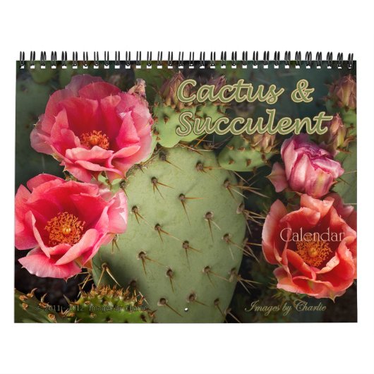 2026 Cactus & Succulent Flower (originele versie) Kalender (Hoes)