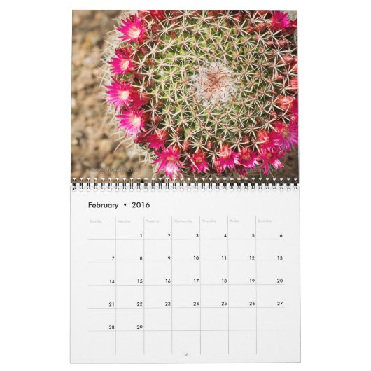 2026 Cactus & Succulent Flower (originele versie) Kalender (Feb 2016)