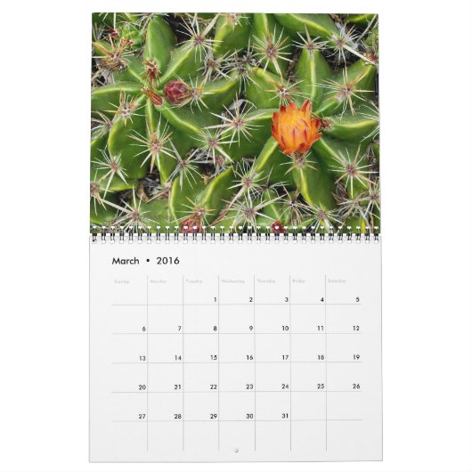 2026 Cactus & Succulent Flower (originele versie) Kalender (Mar 2016)