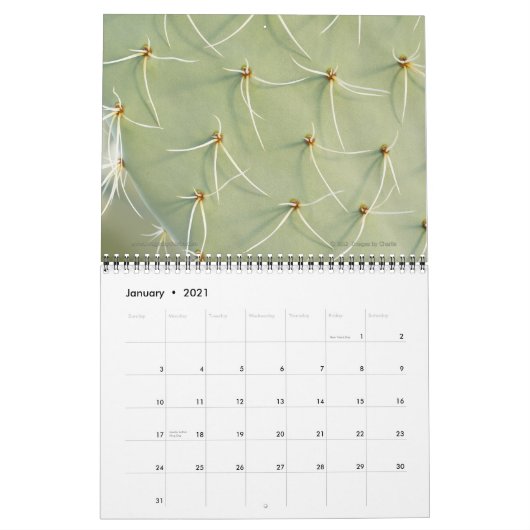 2026 Cactus & Succulent Flower (originele versie) Kalender (Jan 2021)