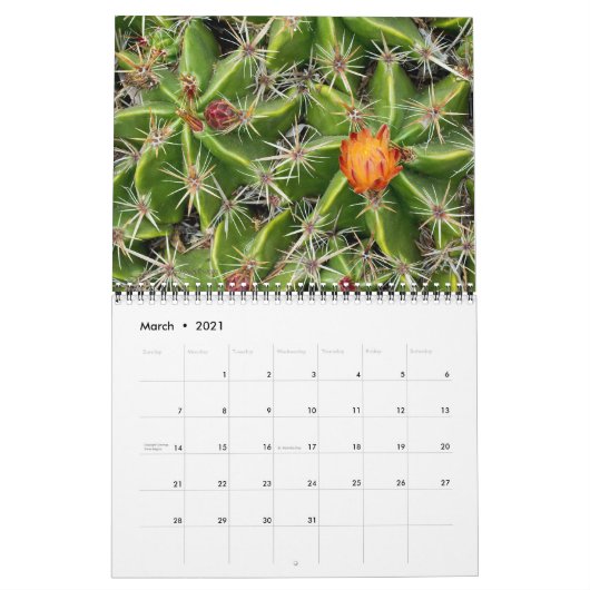 2026 Cactus & Succulent Flower (originele versie) Kalender (Mar 2021)