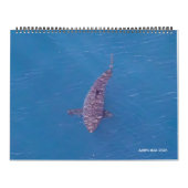 2026 Calendar Airpilikia Kalender (Hoes)