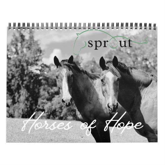 2026 Calendar Kalender (Hoes)