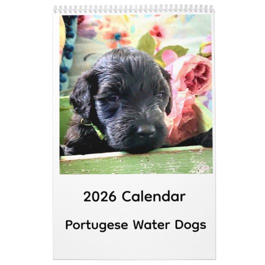 2026 Calendar Portuguese Water Dog Kalender (Hoes)