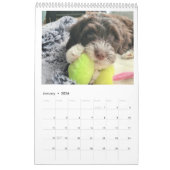 2026 Calendar Portuguese Water Dog Kalender (Jan 2026)