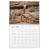 2026 Calendar - Shawn's Zion Country Sampler Kalender (Mar 2026)