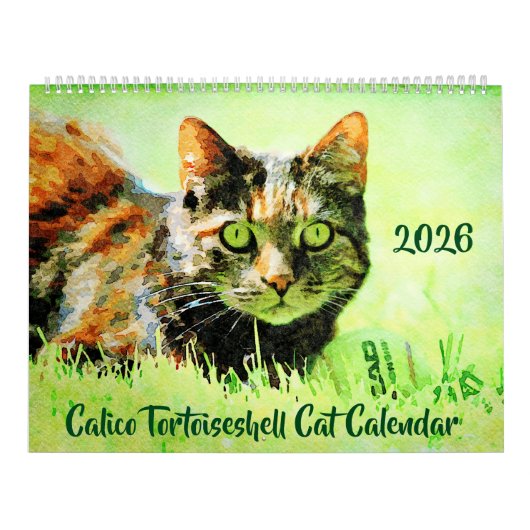 2026 Calico Tortoiseshell Cat Owners Lovers Gift Kalender (Hoes)