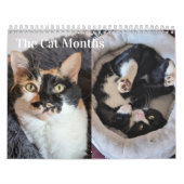 2026 Cat Calendar Kalender (Hoes)