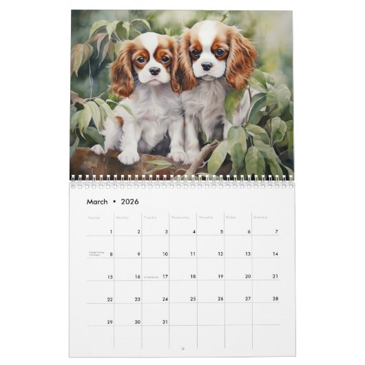 2026 Cavalier King Charles Spaniel Kalender (Mar 2026)