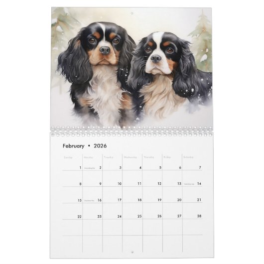 2026 Cavalier King Charles Spaniel Kalender (Feb 2026)