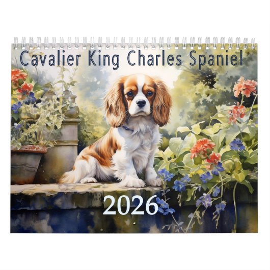 2026 Cavalier King Charles Spaniel Kalender (Hoes)