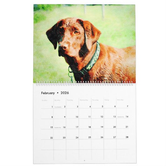 2026 Chocolade Lab Hond Lama Cadeau Voor Labradorl Kalender (Feb 2026)