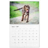 2026 Chocolade Lab Hond Lama Cadeau Voor Labradorl Kalender (Mar 2027)