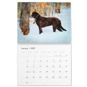 2026 Chocolade Lab Hond Lama Cadeau Voor Labradorl Kalender (Jan 2027)