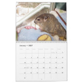 2026 Clara's Corner Groundhog Agenda F Kalender (Jan 2027)