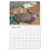 2026 Clara's Corner Groundhog-agenda G Kalender (Feb 2027)
