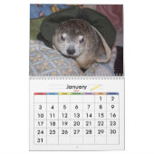 2026 Clara's Corner Groundhog Calendar A Kalender (Jan 2027)