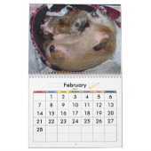 2026 Clara's Corner Groundhog Calendar A Kalender (Feb 2027)