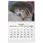 2026 Clara's Corner Groundhog Calendar A Kalender (Jan 2026)