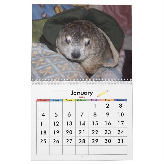 2026 Clara's Corner Groundhog Calendar A Kalender (Jan 2026)