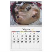 2026 Clara's Corner Groundhog Calendar A Kalender (Feb 2026)