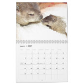 2026 Clara's Corner Groundhog Calendar B Kalender (Mar 2027)