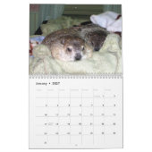 2026 Clara's Corner Groundhog Calendar B Kalender (Jan 2027)