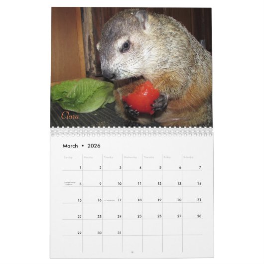 2026 Clara's Corner Groundhog Calendar F Kalender (Mar 2026)