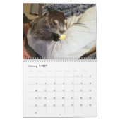 2026 Clara's Corner Groundhog Calendar G Kalender (Jan 2027)