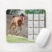 2026 Colt Renkalender Muismat (Met muis)