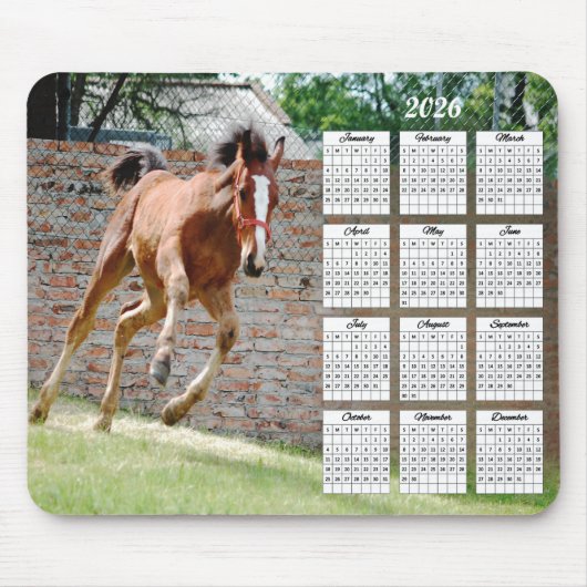 2026 Colt Renkalender Muismat (Voorkant)