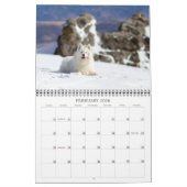 2026 CRB Calendar Kalender (Feb 2026)