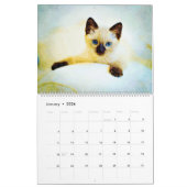 2026 Cute Kittens Baby Cat Lovers Gift Kittie Cat Kalender (Jan 2026)