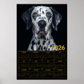 2026 Dalmatische Hond Kalender Poster (Voorkant)