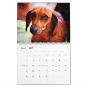 2026 Daschund Weense Hond  Kalender (Mar 2027)