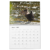 2026 De Gezeten Uitzicht Kalender (Mar 2027)