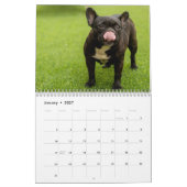 2026 Dog Breeds | Popular Dog Lovers Kalender (Jan 2027)
