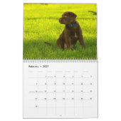 2026 Dog Breeds | Popular Dog Lovers Kalender (Feb 2027)