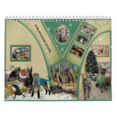2026 DT Kalender (Hoes)