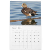2026 Duck Foto's Wandkalender Kalender (Feb 2026)