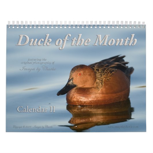 2026 Duck Foto's Wandkalender Kalender (Hoes)