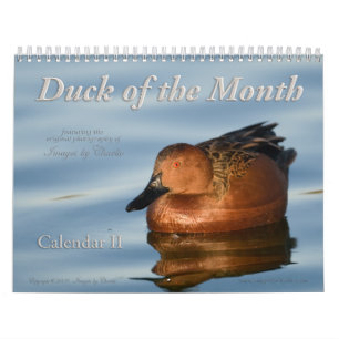 2026 Duck Foto's Wandkalender Kalender