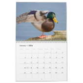 2026 Duck Foto's Wandkalender Kalender (Jan 2026)
