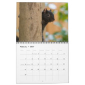 2026 Eekhoorn Fotobehang Kalender (Feb 2027)